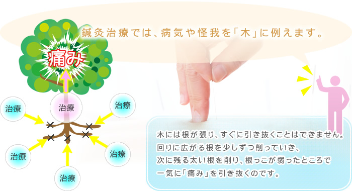 鍼灸治療では病気や怪我を「木」に例えます